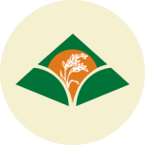 KRBL